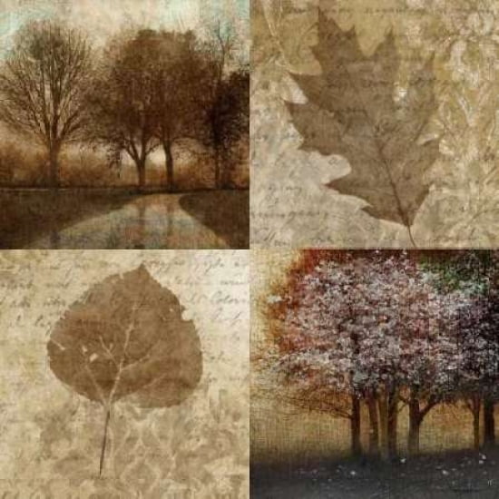 Arcadian Grove II Canvas Art - Keith Mallett (24 x 24)