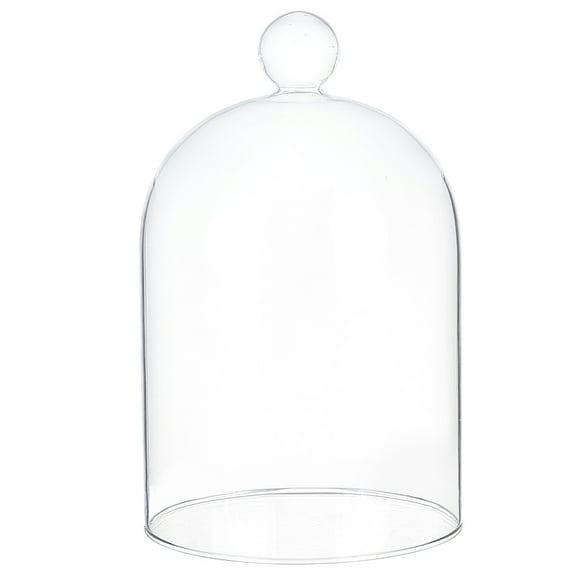 Arch Glass Dome Cover Decorative Display Case Cloche Bell Jar Clear 121x190mm