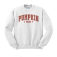thumbnail image 1 of Arch Pumpkin Queen Sweatshirt Unisex Small White, 1 of 5