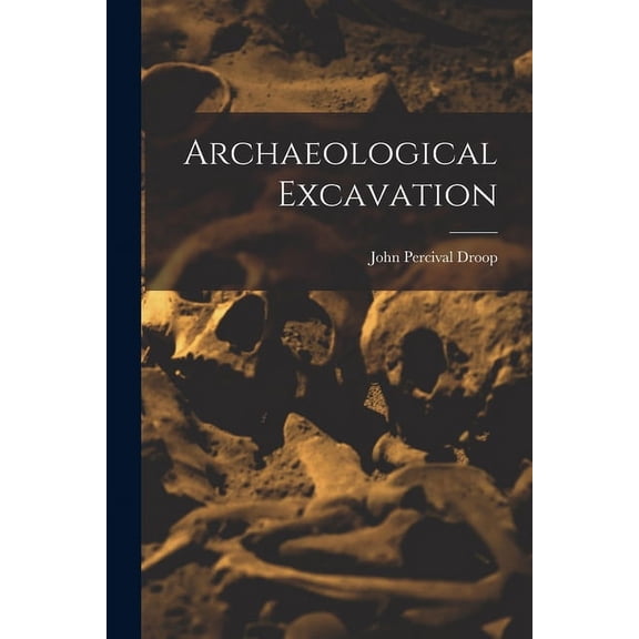 Archaeological Excavation (Paperback)