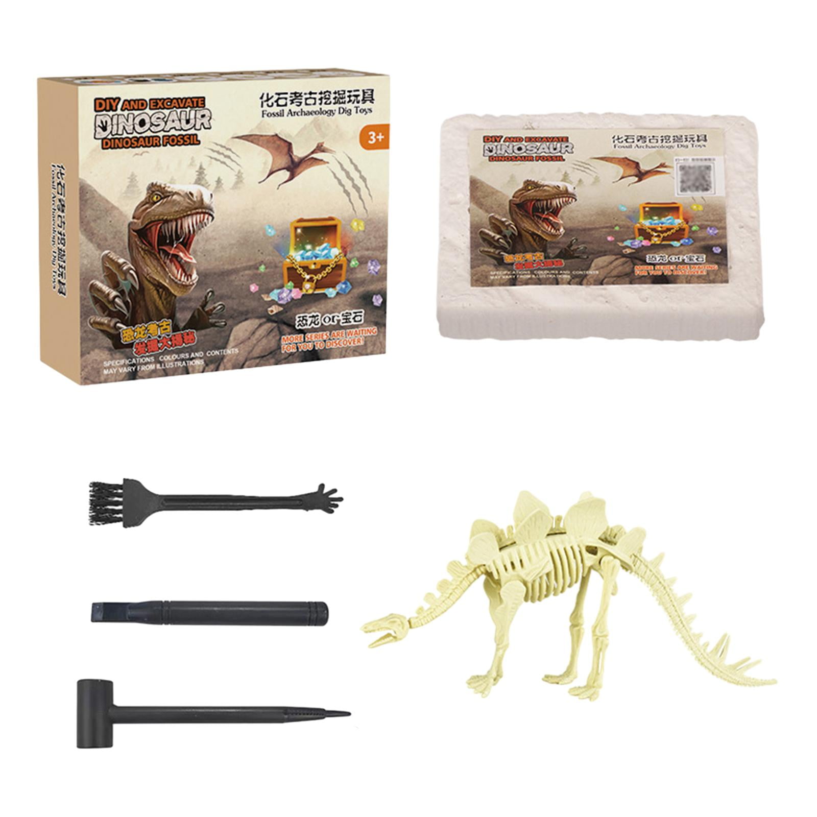 Archaeology Discovery Excavation Kits Archaeology Science Kits for