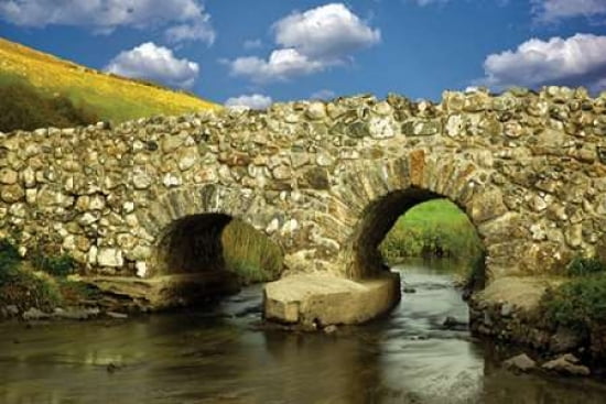 Arched Bridge II Canvas Art - Dennis Frates (24 x 36)