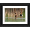 thumbnail image 1 of Archer, Ken 14x11 Black Ornate Wood Framed with Double Matting Museum Art Print Titled - Canvasback pair, 1 of 4
