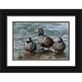 thumbnail image 1 of Archer, Ken 14x11 Black Ornate Wood Framed with Double Matting Museum Art Print Titled - Harlequin Ducks, 1 of 4