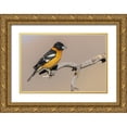 thumbnail image 1 of Archer, Ken 14x11 Gold Ornate Wood Framed with Double Matting Museum Art Print Titled - Black-headed grosbeak, 1 of 4