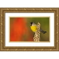 thumbnail image 1 of Archer, Ken 18x13 Gold Ornate Wood Framed with Double Matting Museum Art Print Titled - Lawrences goldfinch, 1 of 4
