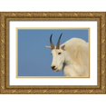 thumbnail image 1 of Archer, Ken 24x17 Gold Ornate Wood Framed with Double Matting Museum Art Print Titled - Mountain goat billy, 1 of 4