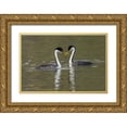 thumbnail image 1 of Archer, Ken 24x17 Gold Ornate Wood Framed with Double Matting Museum Art Print Titled - Western grebes-courting, 1 of 4