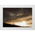 thumbnail image 1 of Archer, Ken 24x17 White Modern Wood Framed Museum Art Print Titled - Bull Elk-sunset storm clouds, 1 of 4