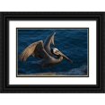 thumbnail image 1 of Archer, Ken 32x23 Black Ornate Wood Framed with Double Matting Museum Art Print Titled - Brown pelican, 1 of 4