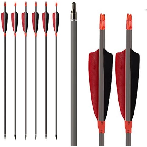 Archery Carbon Arrows, High Percentage Carbon-Fiber Arrow Spine 400 with 4" Real Feathers 100 Grain Points for Hunting/Targeting Compound/Recurve/Long Bow 6Pack (30inch)$$Other