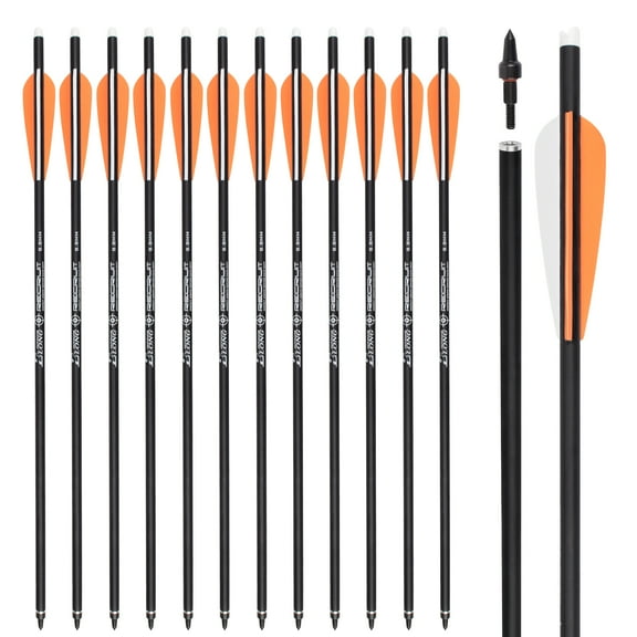 Archery Carbon Crossbow Bolts 16/18/20/22 inch Hunting Archery Arrows with 4" Vanes Moon Nocks and Removable Tips (Pack of 12)