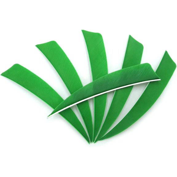 Archery Feathers 4inch (60Pack) Hunting Arrows Fletching Fletches Right Wing 4" Shield Cut Orange Green$$Other