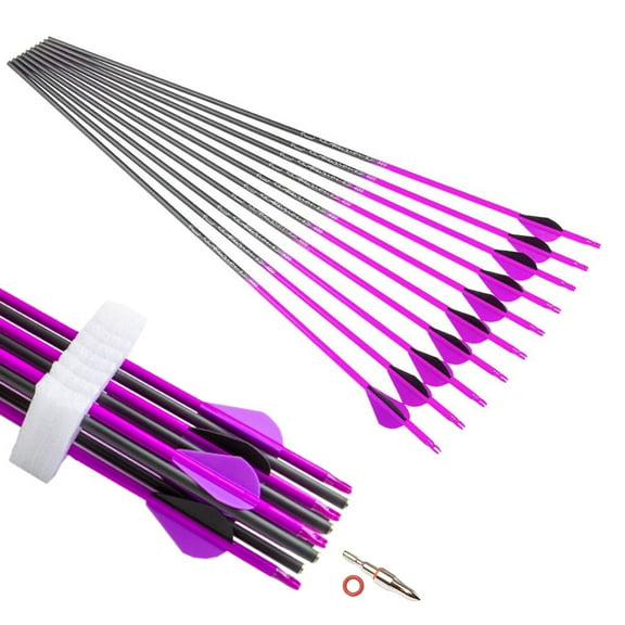 Archery Purple Carbon Arrow 30 inch 300 400 Spine Practice Hunting Arrows for Compound Recurve Bow 12PCS 400