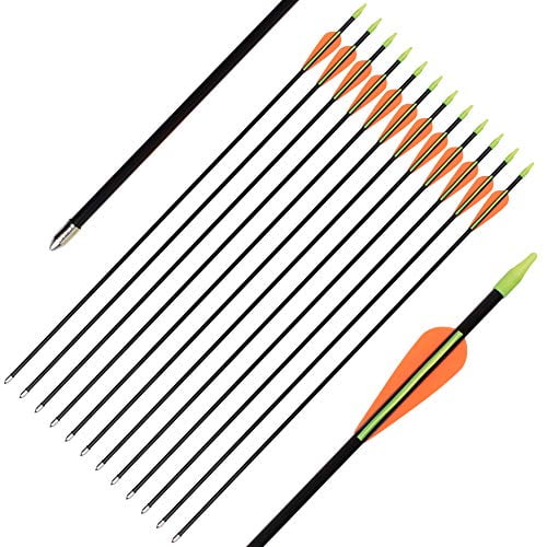 Archery Youth 24 26 Inch Fiberglass Archery Targeting Arrows For Youth