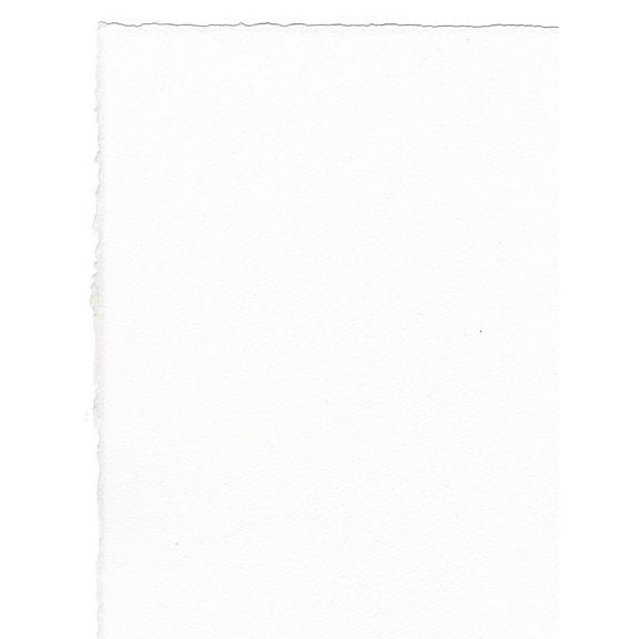 Arches Watercolor Paper 140 Lb. Rough Bright White 22 In. X 30 In. Sheet (100511511)