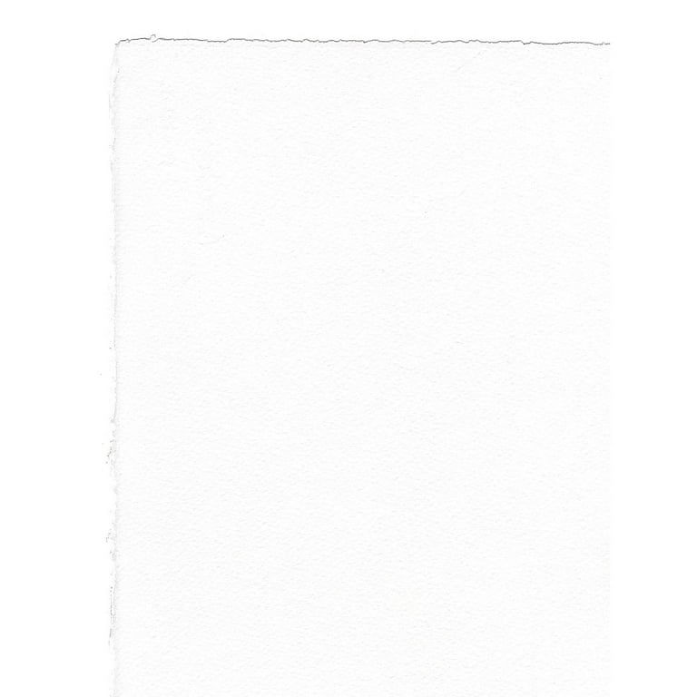 Bee Paper Cotton 140lb Watercolor Paper 22 x 30 Sheets 10 - Art