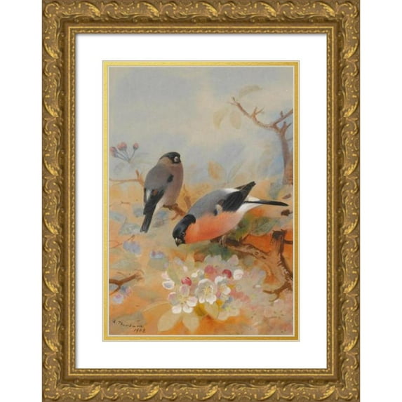 Archibald Thorburn 11x14 Gold Ornate Wood Frame and Double Matted Museum Art Print Titled - Bullfinches (1908)