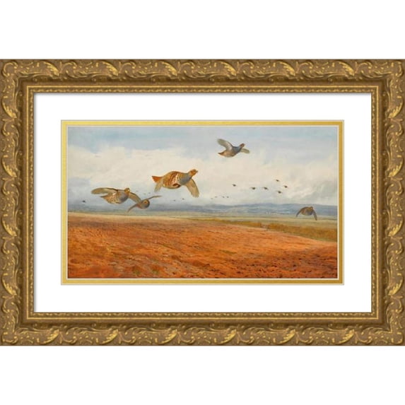 Archibald Thorburn 14x10 Gold Ornate Wood Frame and Double Matted Museum Art Print Titled - A Covey of Grey Partridge in Flight (1900)