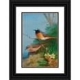 thumbnail image 1 of Archibald Thorburn 17x24 Black Ornate Framed Double Matted Museum Art Print Titled: Pair of Redstarts (1923), 1 of 5