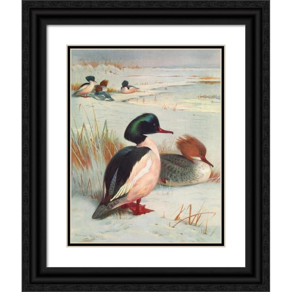Archibald Thorburn 19x24 Black Ornate Framed Double Matted Museum Art Print Titled: Gazander (1913)