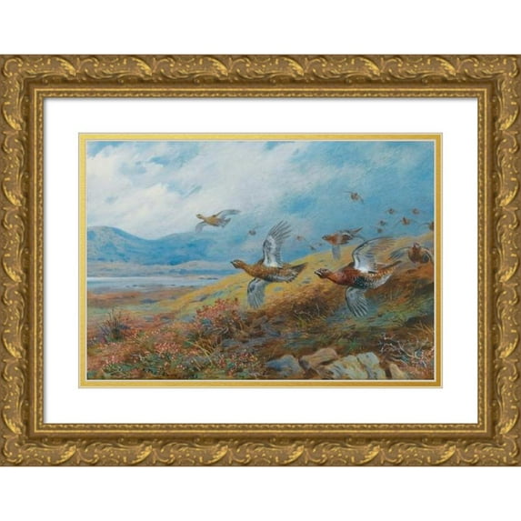 Archibald Thorburn 24x17 Gold Ornate Framed and Double Matted Museum Art Print Titled - Driven Grouse (1933)