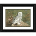 thumbnail image 1 of Archibald Thorburn 24x18 Black Ornate Framed Double Matted Museum Art Print Titled: A Female Snowy Owl (1889), 1 of 5