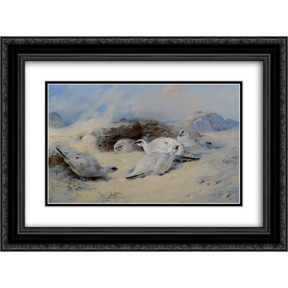 Archibald Thorburn 2x Matted 24x20 Black Ornate Framed Art Print 'Ptarmigan Seeking Shelter'