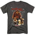 thumbnail image 1 of Labyrinth Men's Should You Need Us... T-shirt XXX-Large Charcoal, 1 of 2