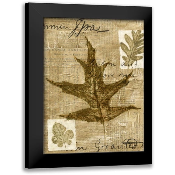 Archie, K. 12x14 Black Modern Framed Museum Art Print Titled - Leaf Collage II