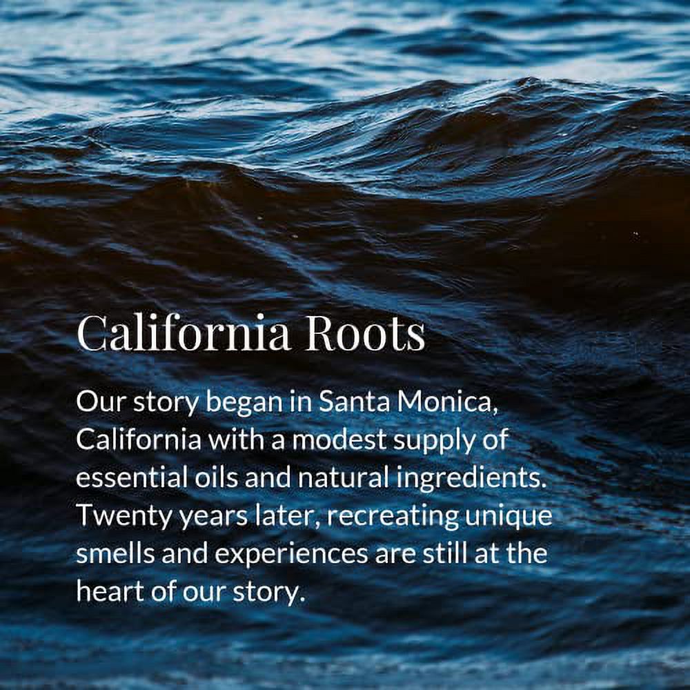 Archipelago Botanicals Pineapple Ginger Diffuser Oil Refill, Pineapple and Ginger (7.85 fl oz