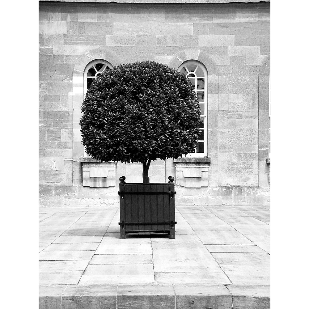 Architectural Photography 8, Cyril Blue Poster Print - Design Porter