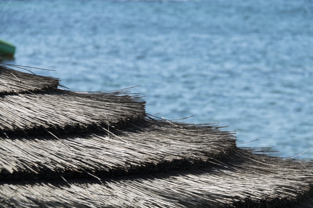 Architectural details of a thatched roof at the waters edge Paphos Cyprus Canvas Art - John Short Design Pics (38 x 24)