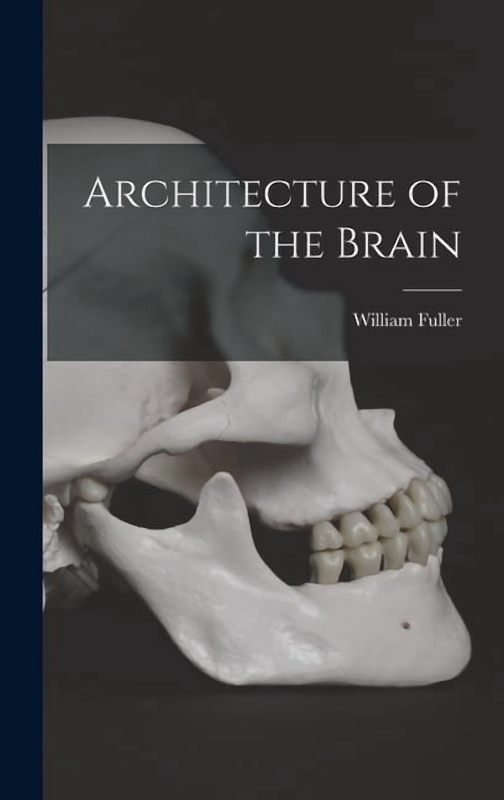 Architecture of the Brain, (Hardcover) - Walmart.com