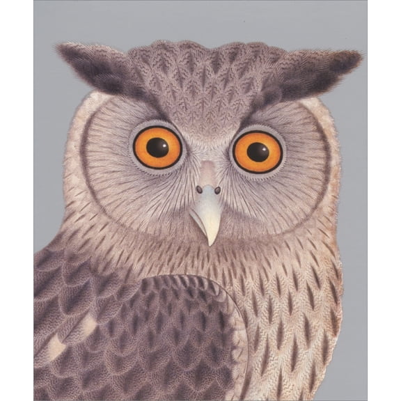 Archivist Eagle Owl with Bright Orange Eyes Blank Note Card