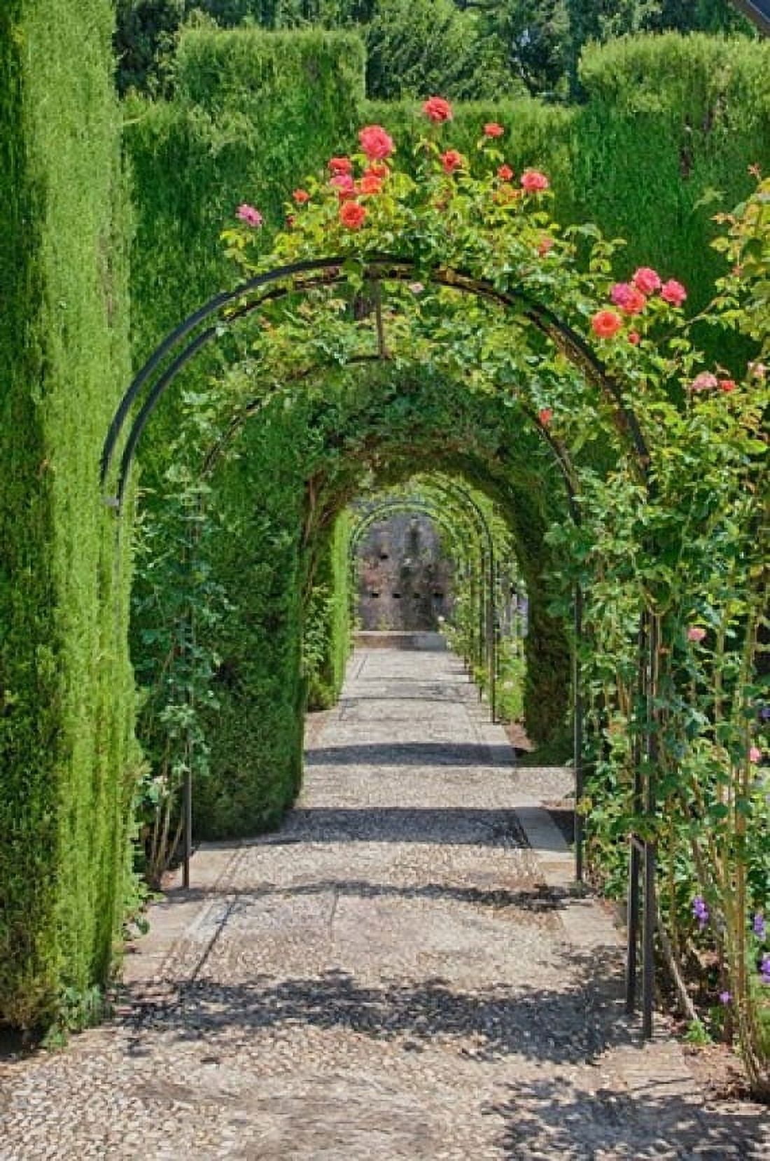 Archway of trees in the gardens of the Alhambra Granada Spain Canvas Art - Julie Eggers DanitaDelimont (25 x 38)