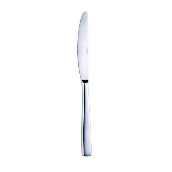 Arcoroc T1804 Vesca S/S 9-1/4" Dinner Knife - Dozen