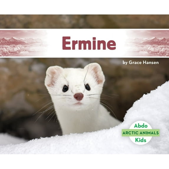 Arctic Animals Ermine, (Hardcover)