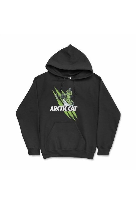 Snowmobile ZR800 The Cat is Back