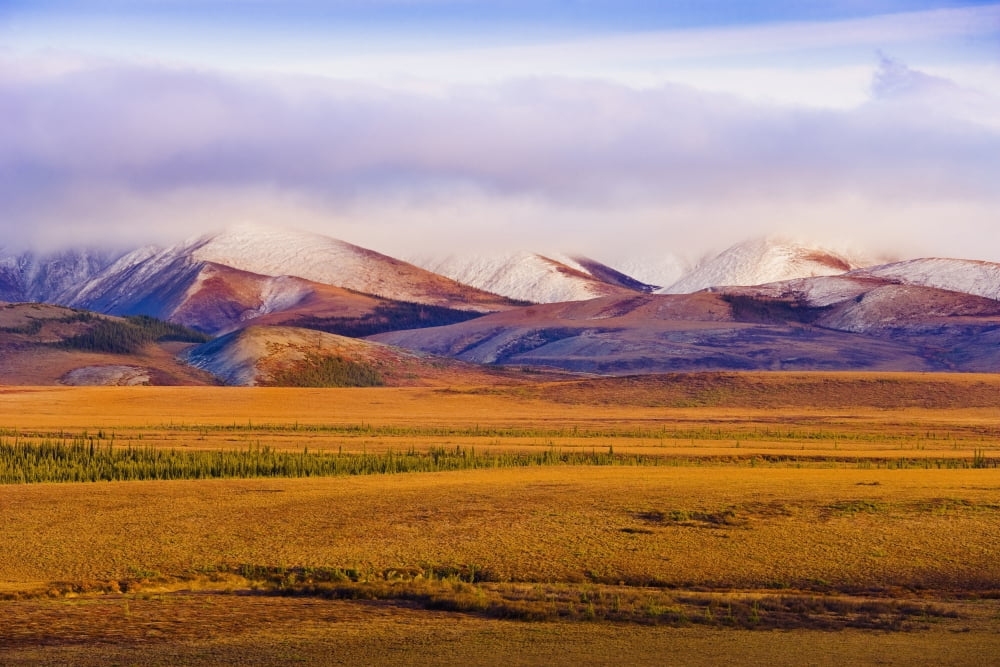 Arctic Circle Fall Colours And Richardson Mountains Along Dempster Highway Yukon Canvas Art - Yves Marcoux Design Pics (34 x 22)