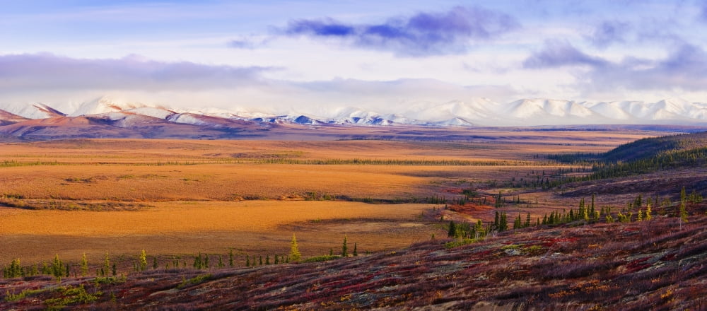 Arctic Circle Fall Colours And Richardson Mountains Along Dempster Highway Yukon Canvas Art - Yves Marcoux Design Pics (44 x 18)