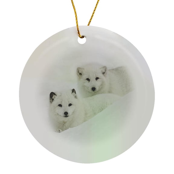 3drose, Arctic Fox in Snow, Captive, Montana, Native to Arctic Regions., Circle Porcelain Ornament