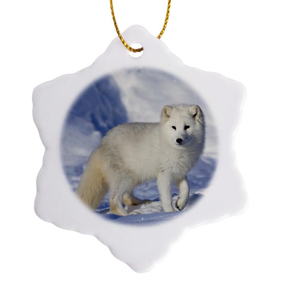 3drose, Arctic Fox in Winter, 3 inch Snowflake Porcelain Ornament