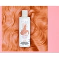 thumbnail image 1 of Arctic Fox Peach Prosecco Pastel 8-oz. Semi-Permanent Vegan Hair Dye Color, 1 of 7