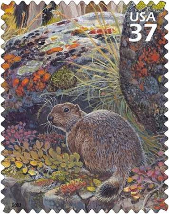 Arctic Ground Squirrel Canvas Art - US POSTAL SERVICE (24 x 30)