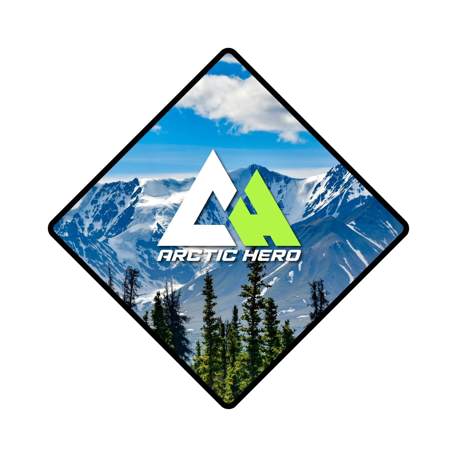 Arctic Hero Women's Insulated Snow Bib Water Resistant Ski Overall