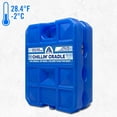 thumbnail image 1 of Arctic Ice Chillin' Cradle Series Ice Pack - Long Lasting High Performance X-Large (5 LBS) Ice Pack Curved Design for Sodas, Sports Drinks, Beer or Wine - Freezes at 28 Degrees - 2 End Cap Pack, 1 of 6
