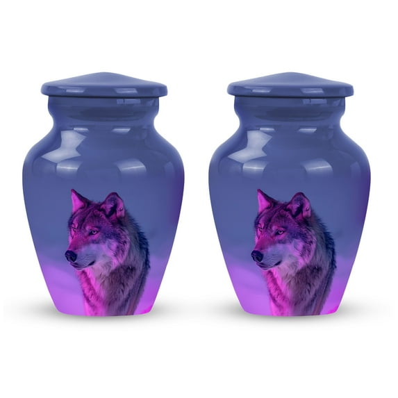 Arctic Neon Vigil Urn Keepsake Human Ashes - Burial Urns For Cremated Remains - Urns For Human Ashes Adult Female Mom - Tiny Urn (Size -3inch,2Pcs)