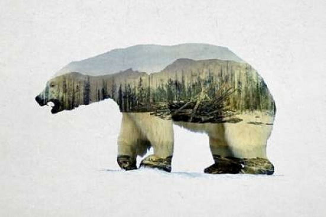 Arctic Polar Bear Canvas Art - Davies Babies (12 x 18)