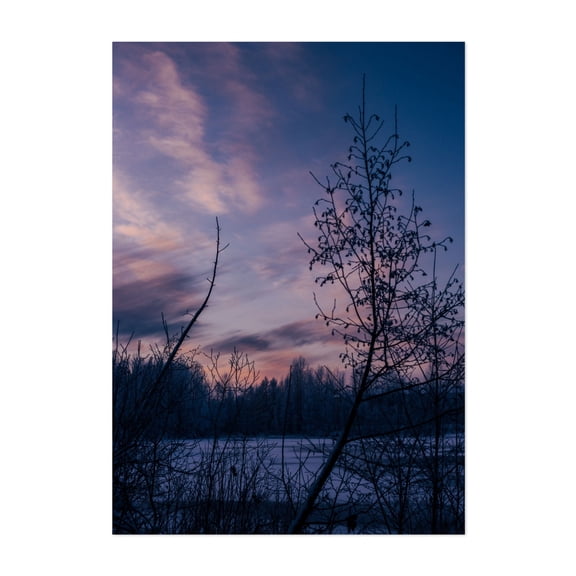 Arctic Sunset - Anchorage Alaska Photography Winter Sunset Silhouette Nature Scenic Woodland Snow Unframed Wall Art Print 4 x 6 inches